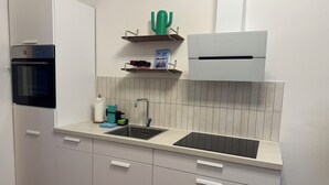 Una cocina moderna con horno empotrado, un lavamanos y una encimera. Hay un estante con una decoración de cactus y una planta pequeña.