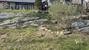 A residential area with a house featuring a sloped roof, multiple windows, and a chimney. There is a garden with grass, rocks, and some flowering plants.