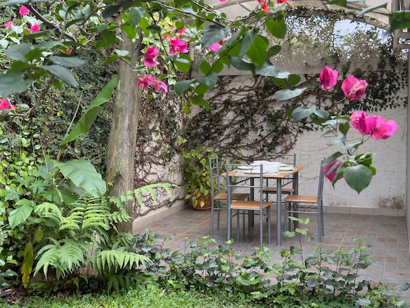 Terraza o patio