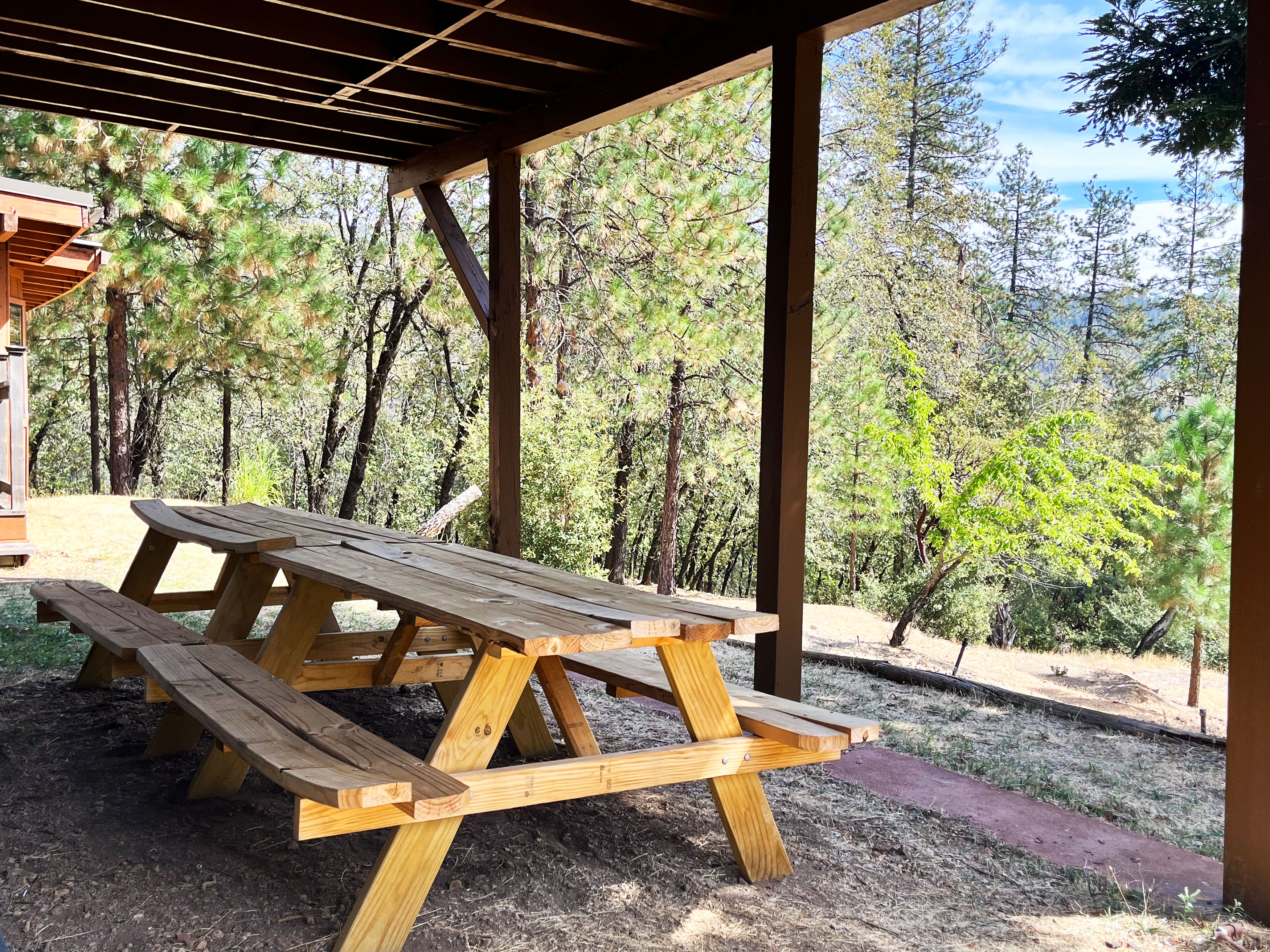 Une table de pique-nique en bois, placée sous un abri, avec vue sur une zone boisée.