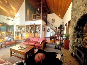 Smart TV, chimenea, reproductor de DVD y libros 