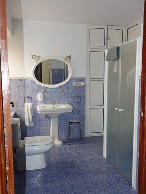 Shower, hair dryer, bidet, towels