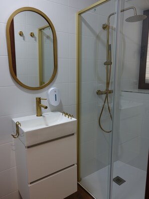 Regadera, secadora de cabello, bidet, toallas