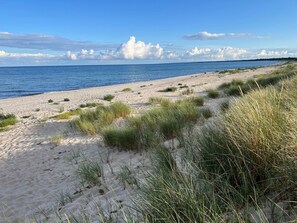 Een strand met zand, gras en een helderblauwe lucht.