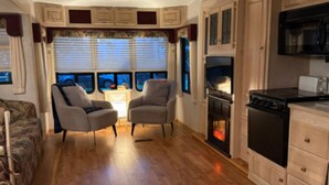 Televisión, chimenea y libros