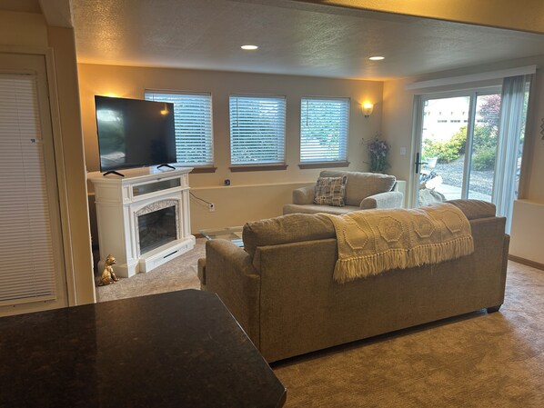 Smart TV, fireplace, books