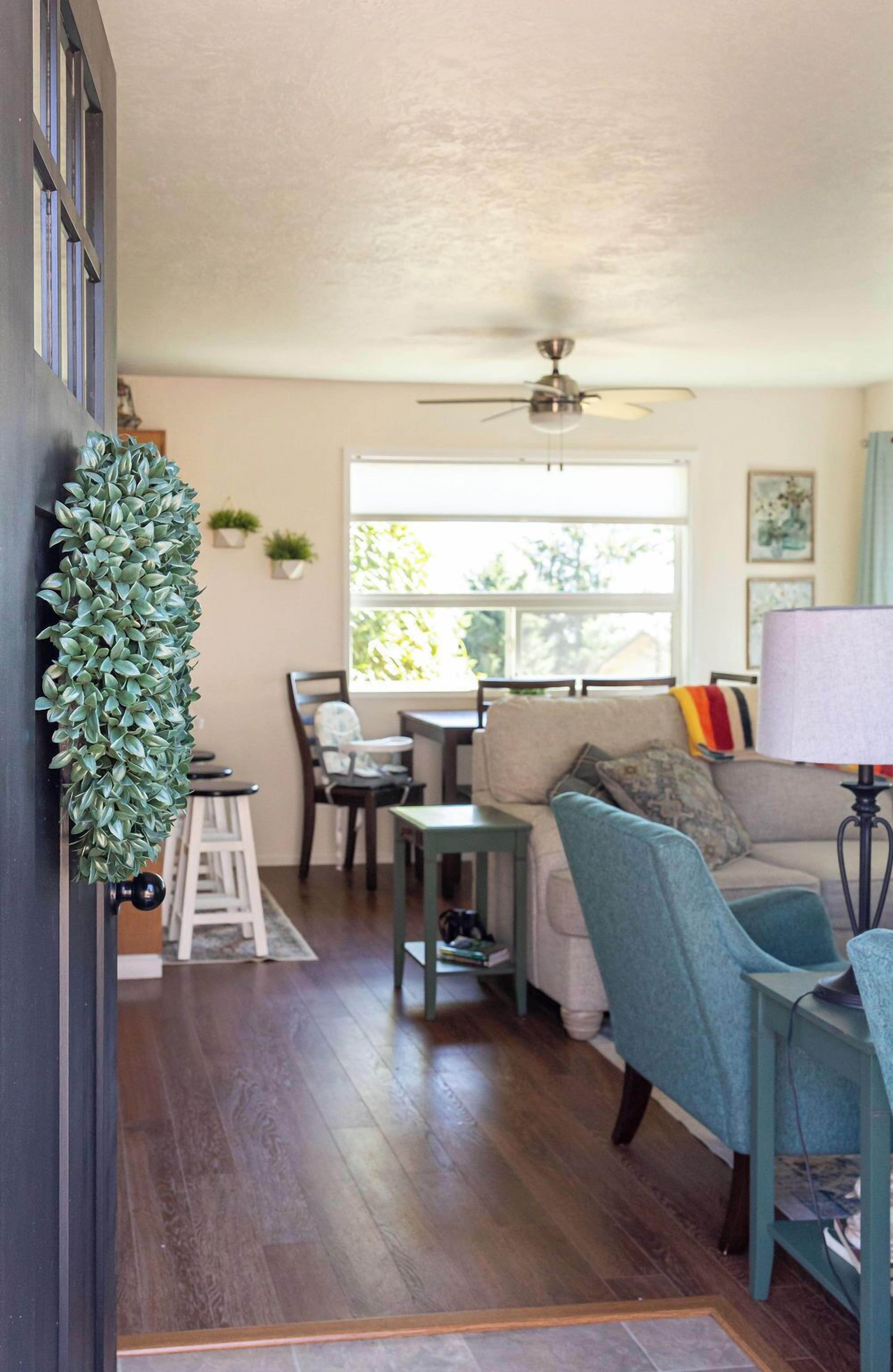 Smart-TV, DVD-Player, Bücher, Videothek