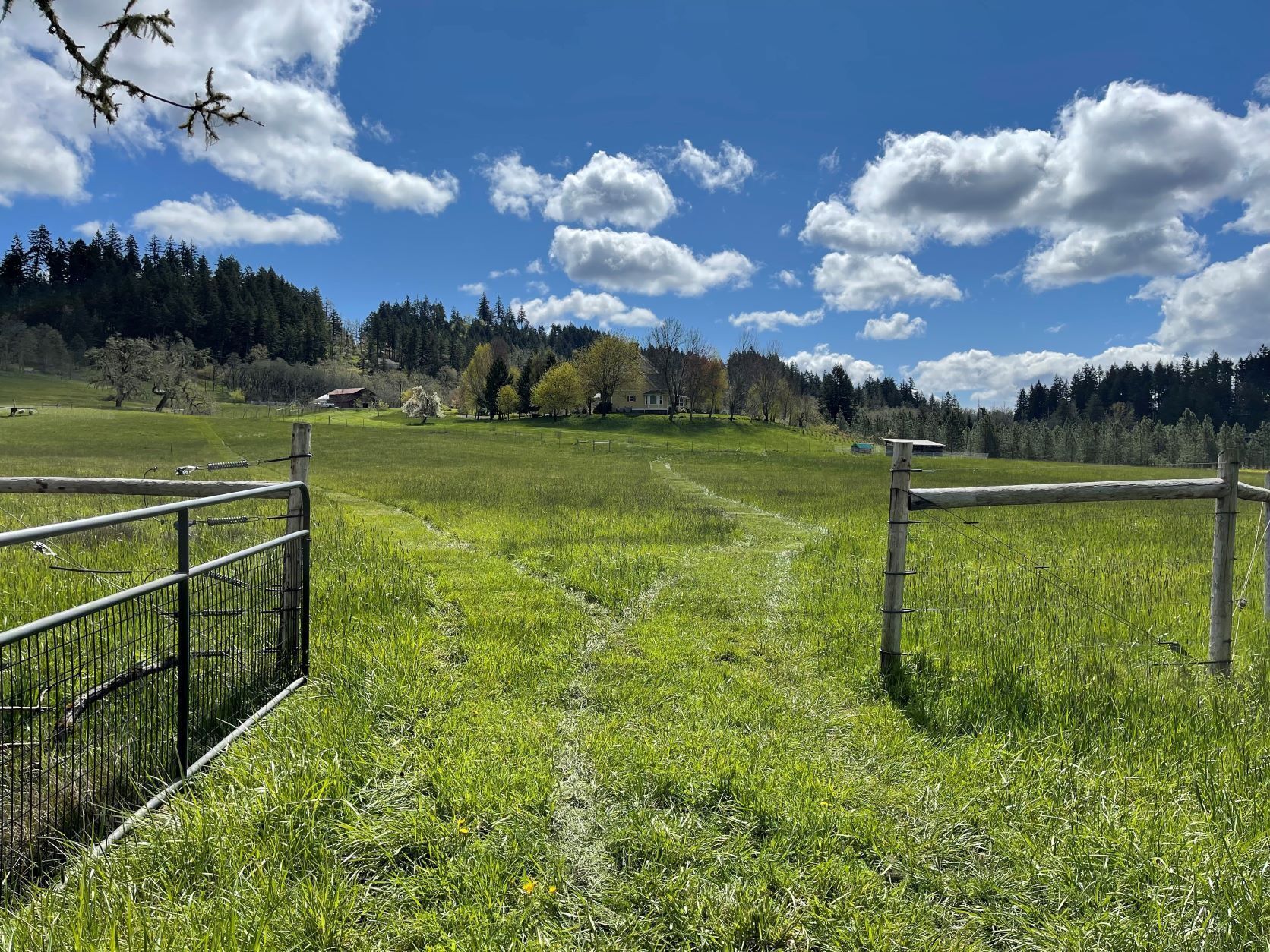 Een landelijk landschap met een grasveld, een houten omheining en een heldere lucht.