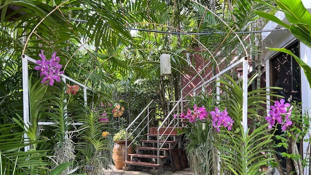 Ein Gartenpfad führt zu einer Treppe, umgeben von üppiger Vegetation und violetten Orchideen.