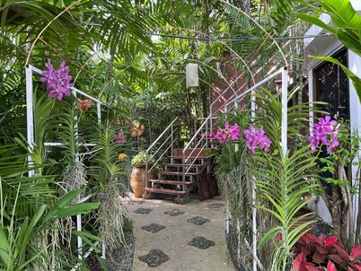 Rainbow Arokaya Holistic Longevity Welln