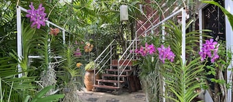 Rainbow Arokaya Holistic Longevity Welln