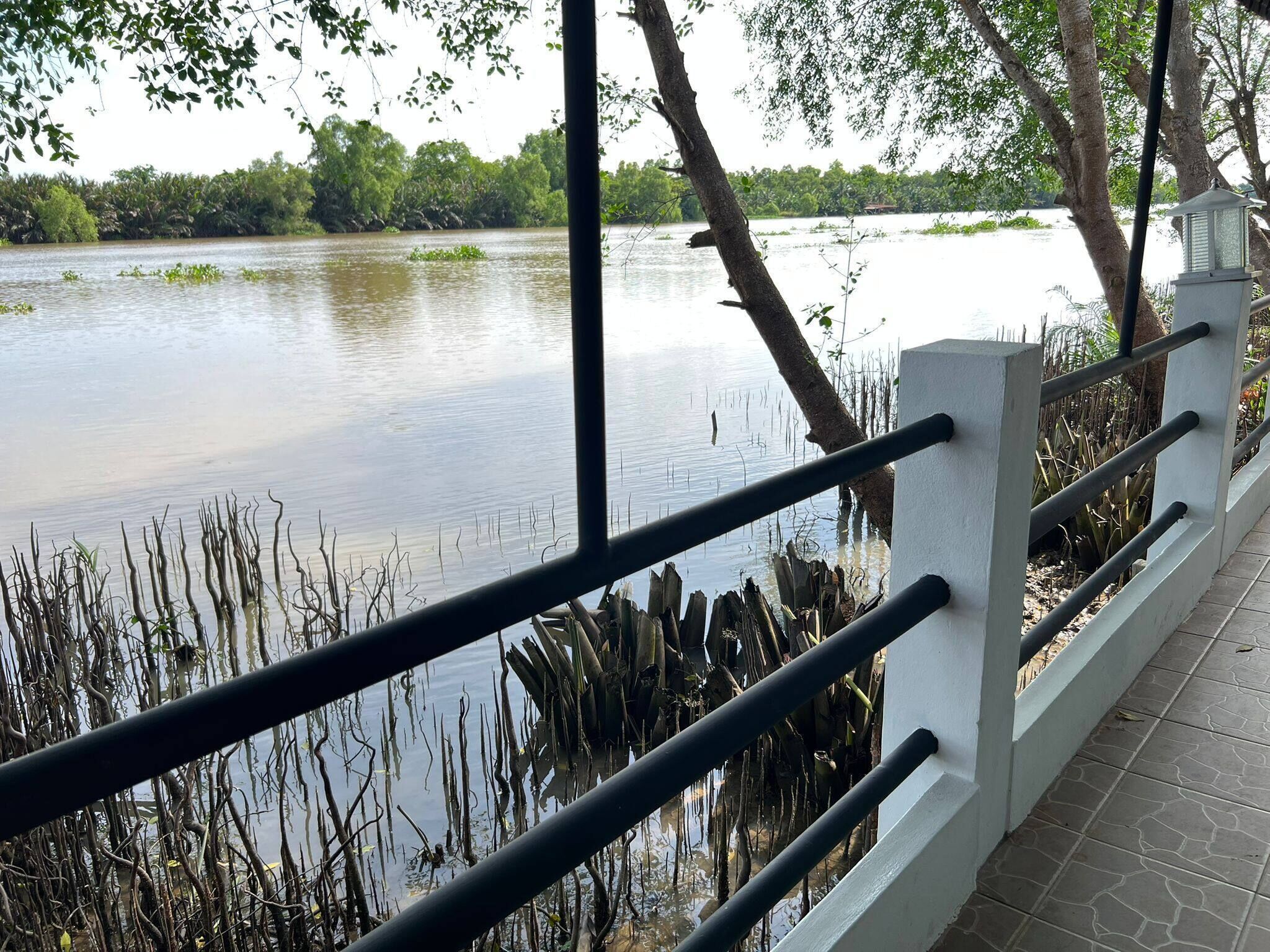 Phòng, 1 phòng ngủ, phù hợp cho người khuyết tật, hút thuốc | Khuôn viên nơi lưu trú