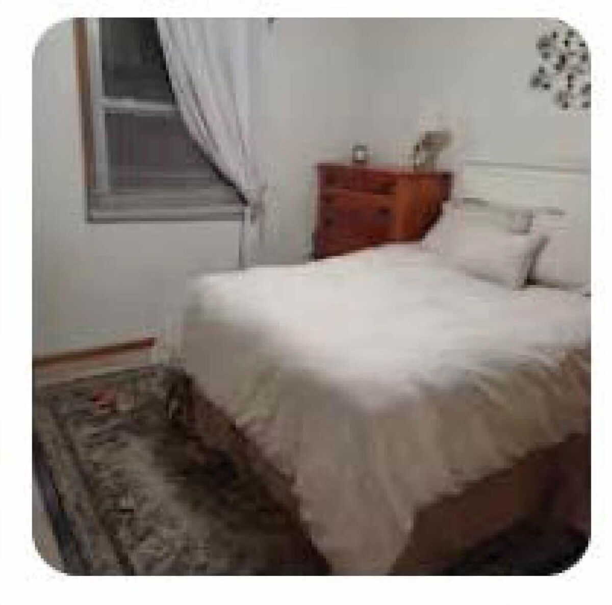 Imagen de perfil del propietario o de la propietaria