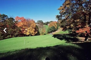 Golf