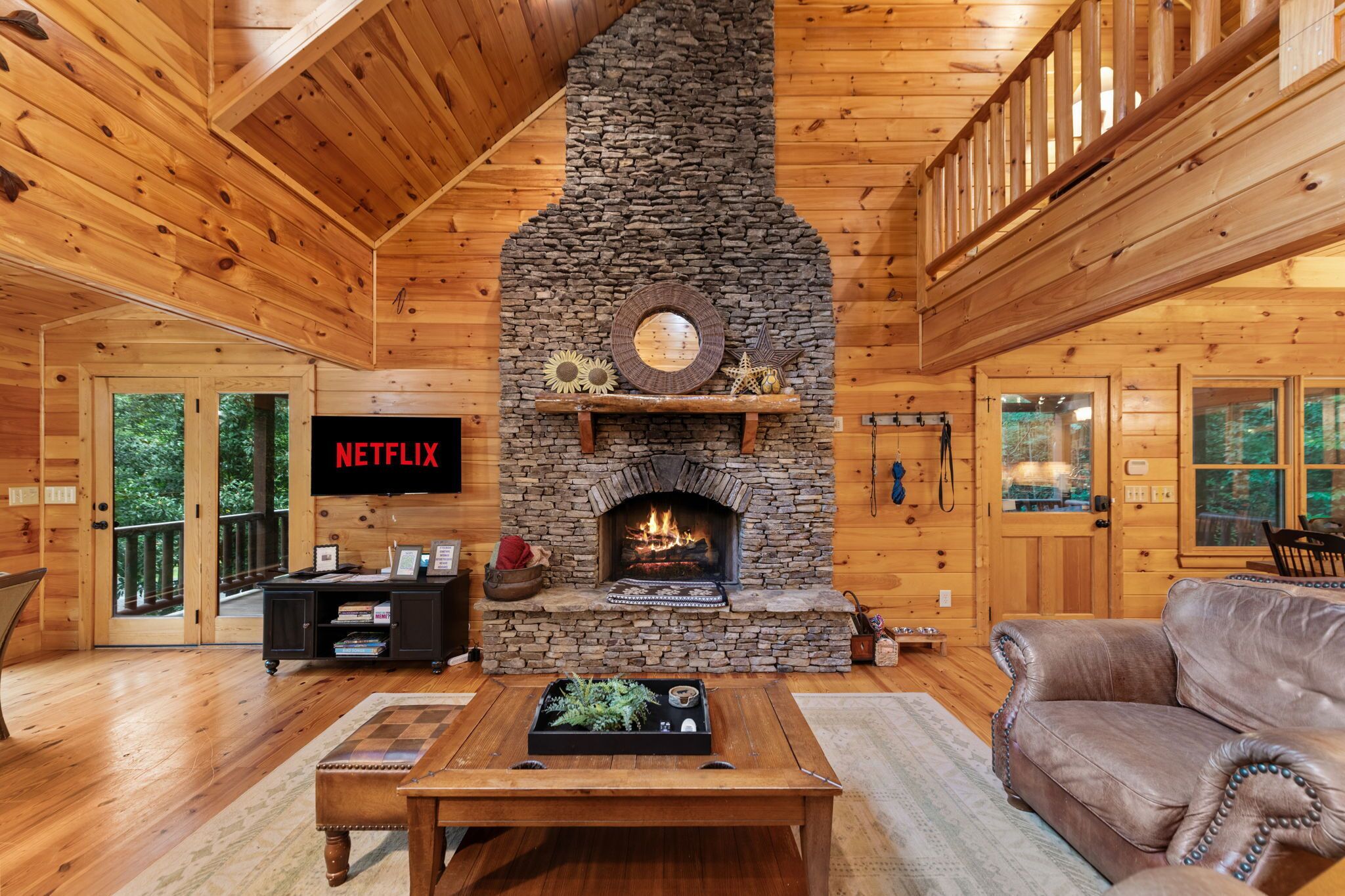 TV, fireplace, books