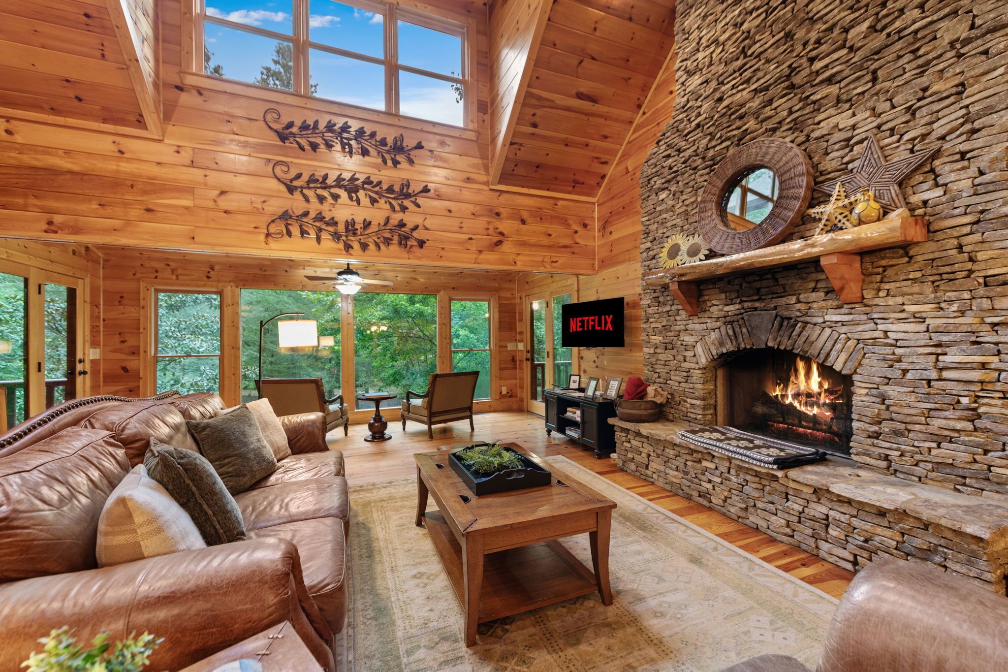 TV, fireplace, books