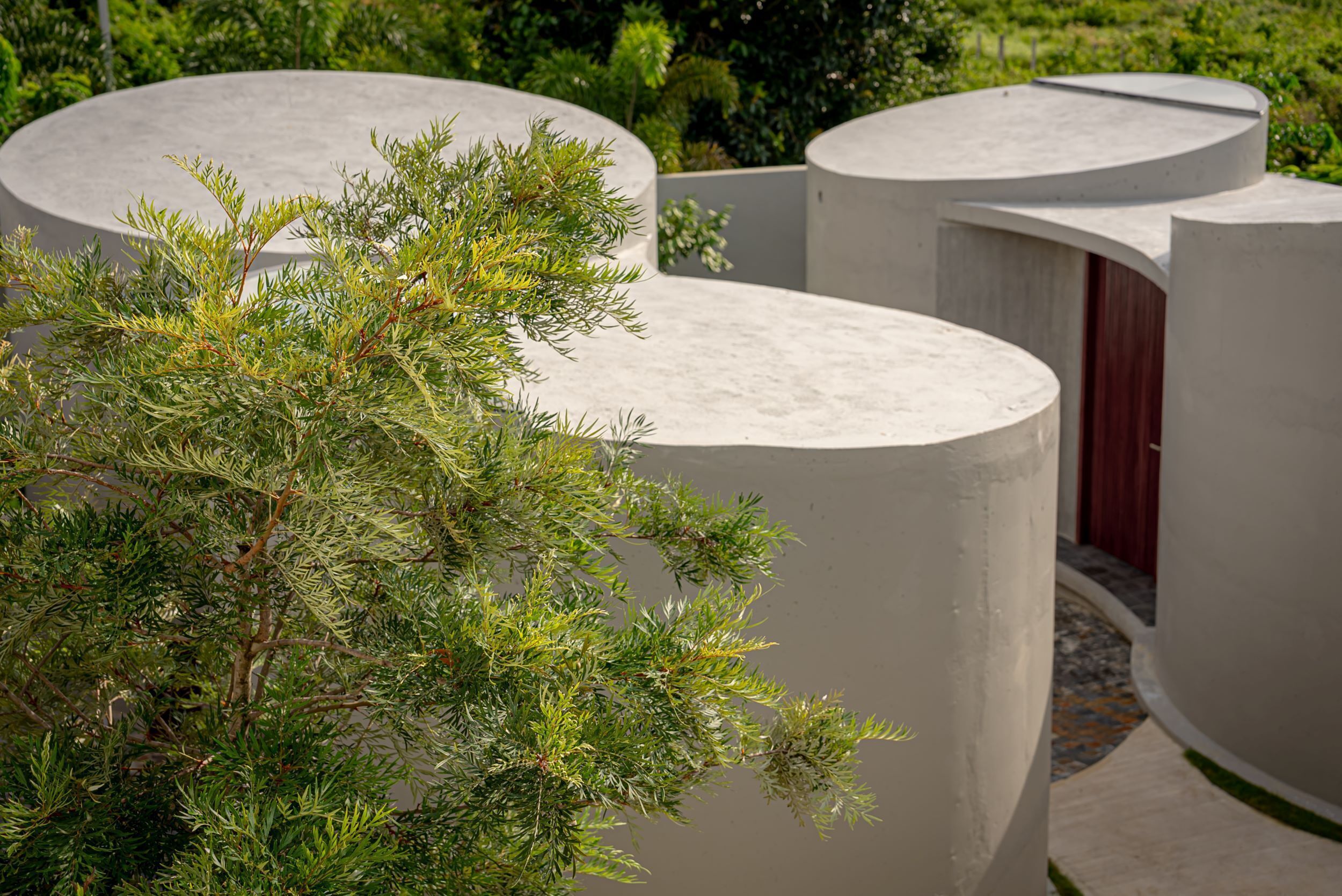 A modern building with curved concrete structures and a lush green tree in the foreground.
