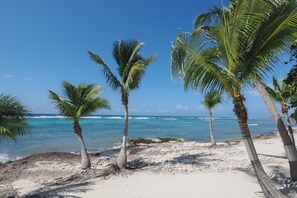 A beach with palm trees and clear blue water.