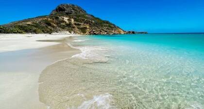 Private Oceanfront Caribbean Escape – Infinity Pool +Interior Garden Sanctuary