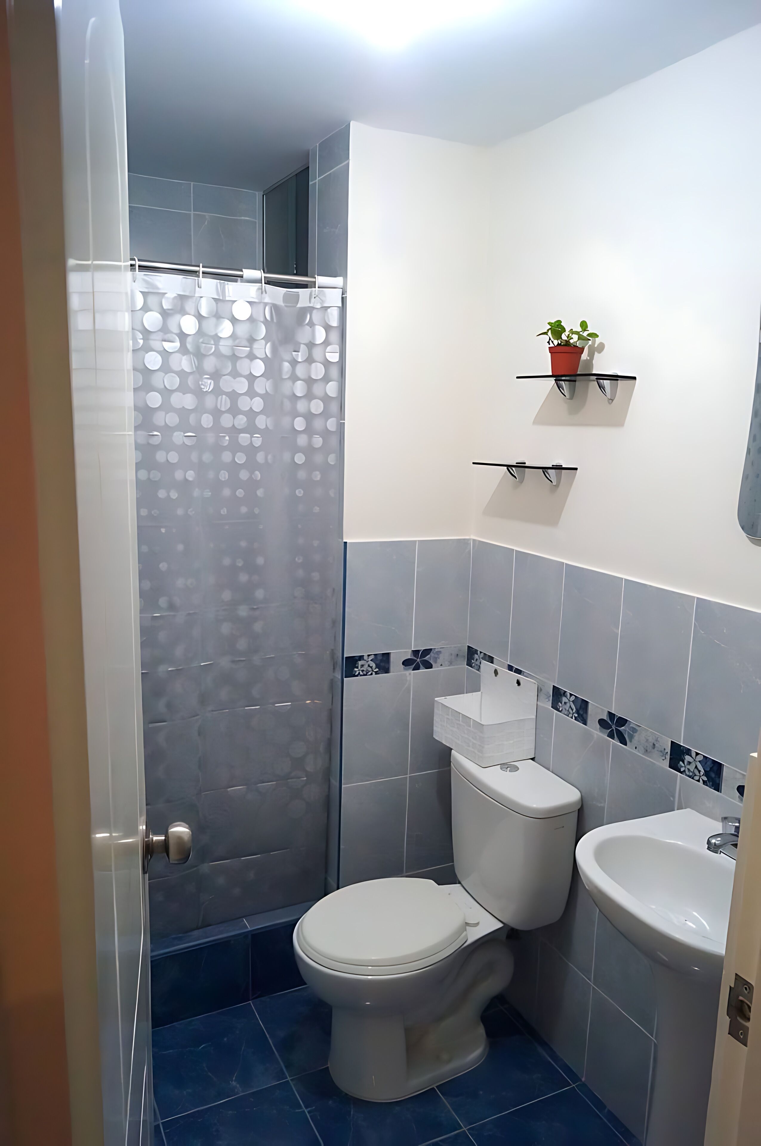 Shower, towels, soap, toilet paper