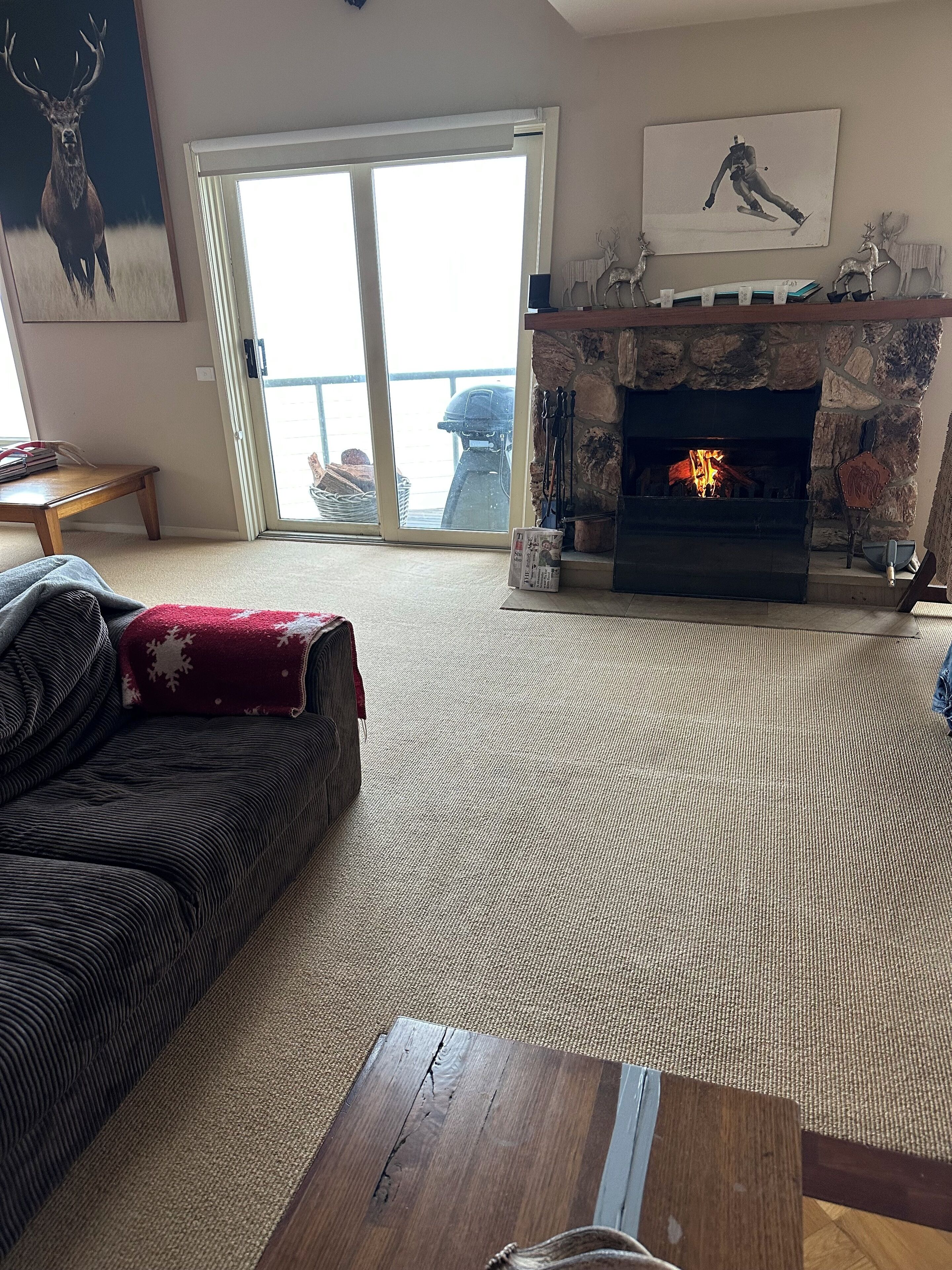 A living room with a fireplace, a sofa, and a view through a glass door.
