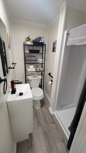Shower, hair dryer, bidet, towels - Newly renovated one bedroom apartment located in the heart of downtown Juneau (Juneau)