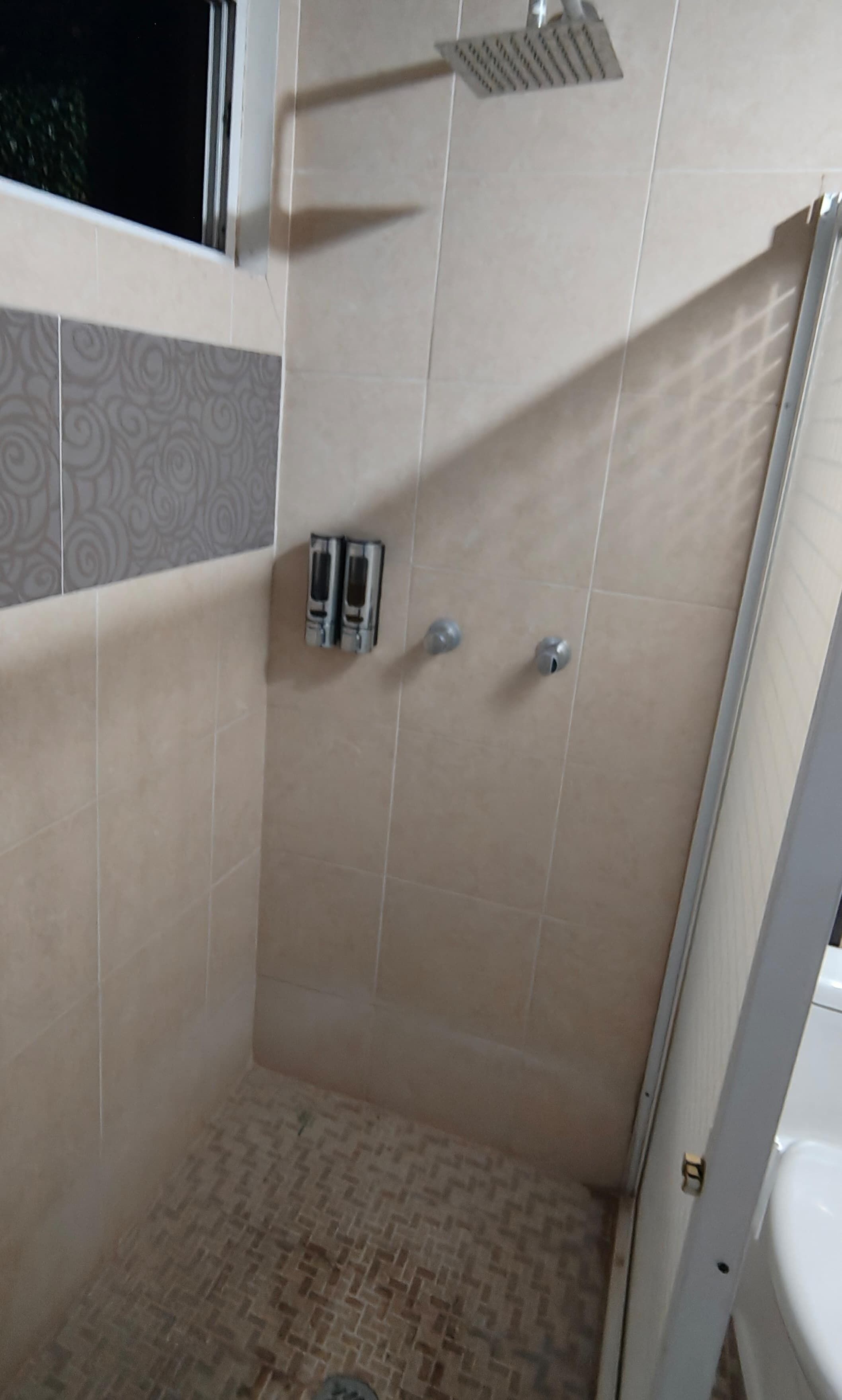 Asciugacapelli, asciugamani, sapone, shampoo