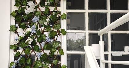 Apizaco, Loft santa rosa