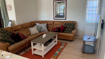 Fernseher