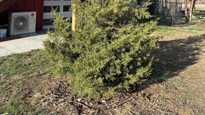 Ein rotes Gebäude mit einer hölzernen Freitreppe, die zu einem Balkon führt, einer Klimaanlage und einem kleinen Baum im Vordergrund.