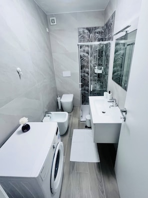 Shower, hair dryer, bidet, towels