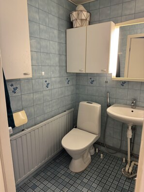 Asciugacapelli, asciugamani, sapone, carta igienica