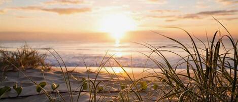 House | View from property