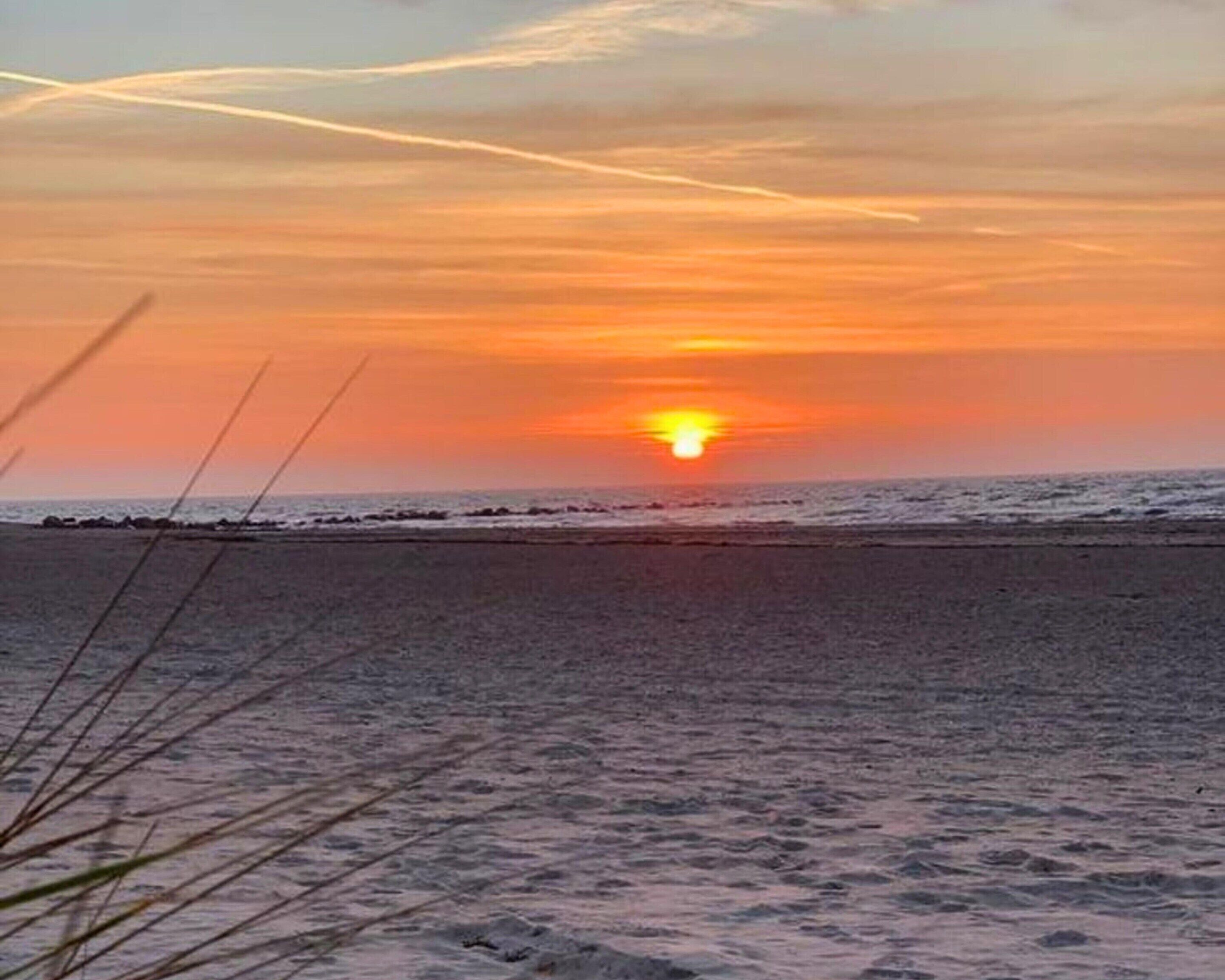 House | View from property