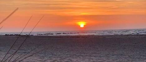 House | View from property