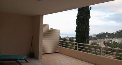 T2 panoramic sea and mountain view