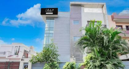 Collection O Sector 51 Noida