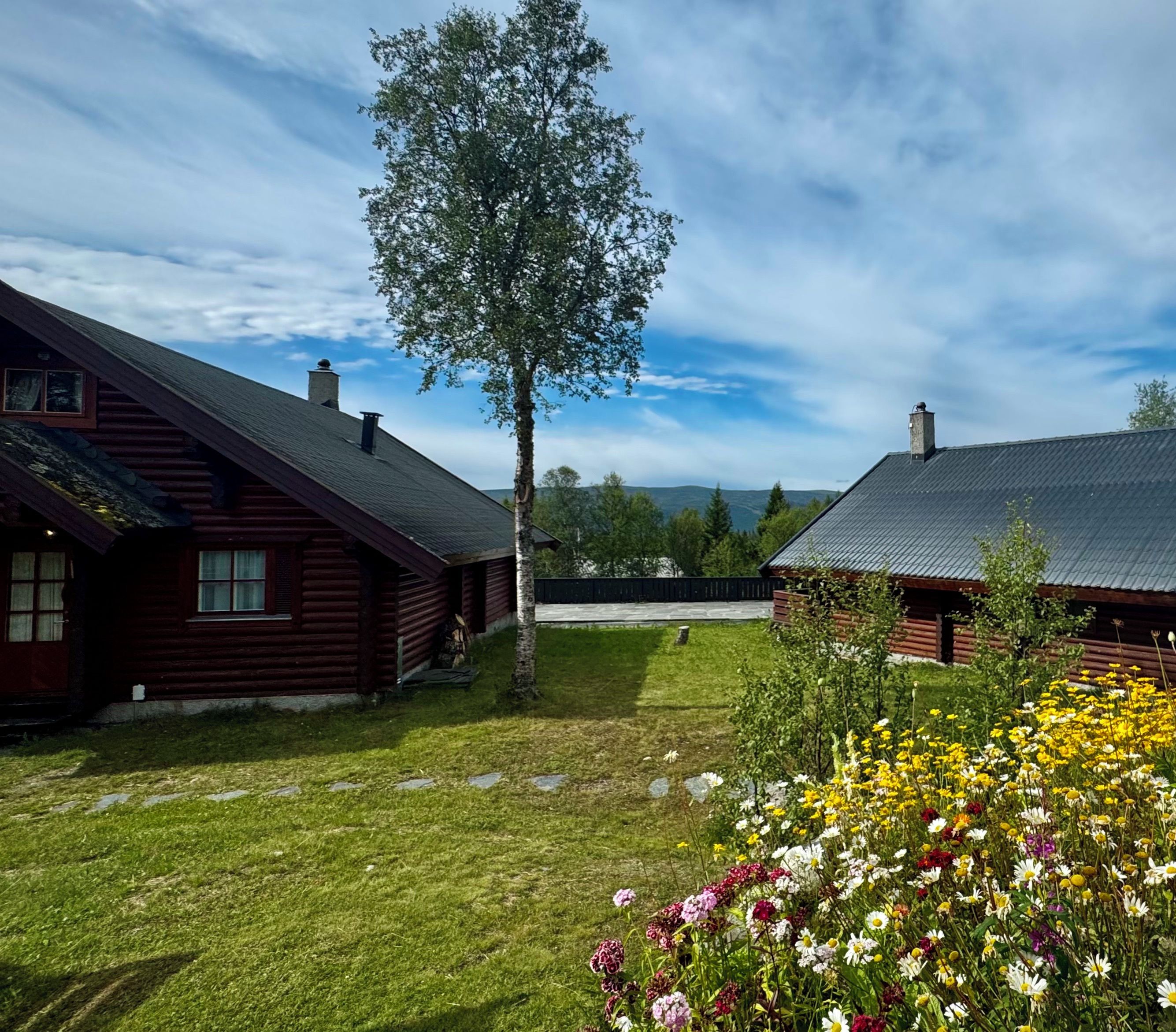 A cabin with a sloped roof, surrounded by a grassy area with wildflowers.