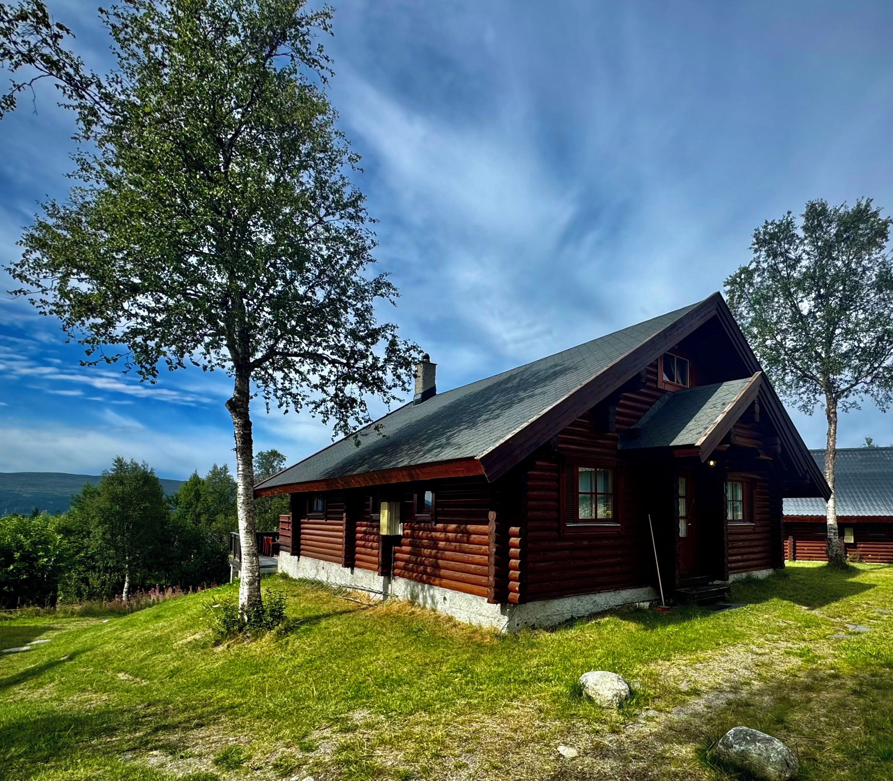 A log cabin with a sloped roof, surrounded by trees and a grassy area.
