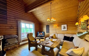 Televisión, chimenea