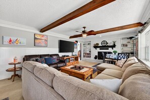 TV connectée, cheminée, livres, vidéothèque