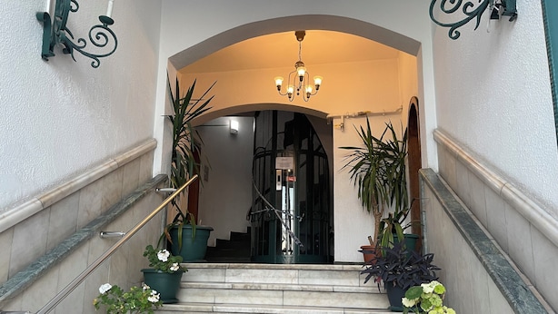 Una imponente escalera de mármol, flanqueada por plantas en macetas y un candelabro.
