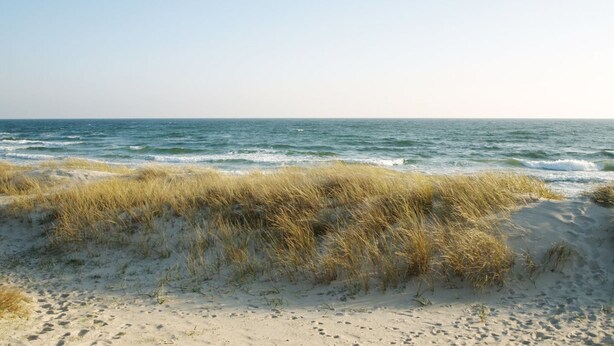 A beach with sand and grassy dunes. - "Bengta" - 250m from the sea by Interhome (Nexø)