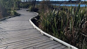 Une promenade pavée, sinueuse, qui traverse un paysage naturel, bordée d’arbres et de végétation, et qui mène à un plan d’eau.