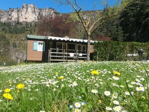 A small cabin with a wooden exterior, a porch, and a garden with daisies and dandelions in front.