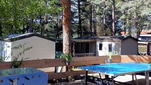 Une table de billard entourée d’une clôture en bois, un petit abri de jardin et un arbre, le tout dans un jardin.