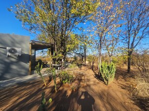 A desert landscape with cacti, a wooden structure, and a clear blue sky.