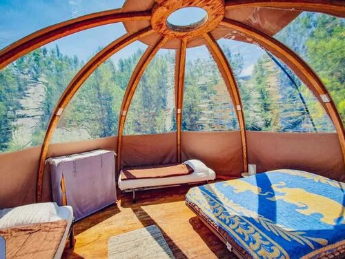 Chalet for 6 with Terrace