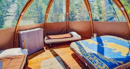 Chalet for 6 with Terrace