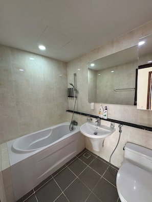 Shower, hair dryer, bidet, towels